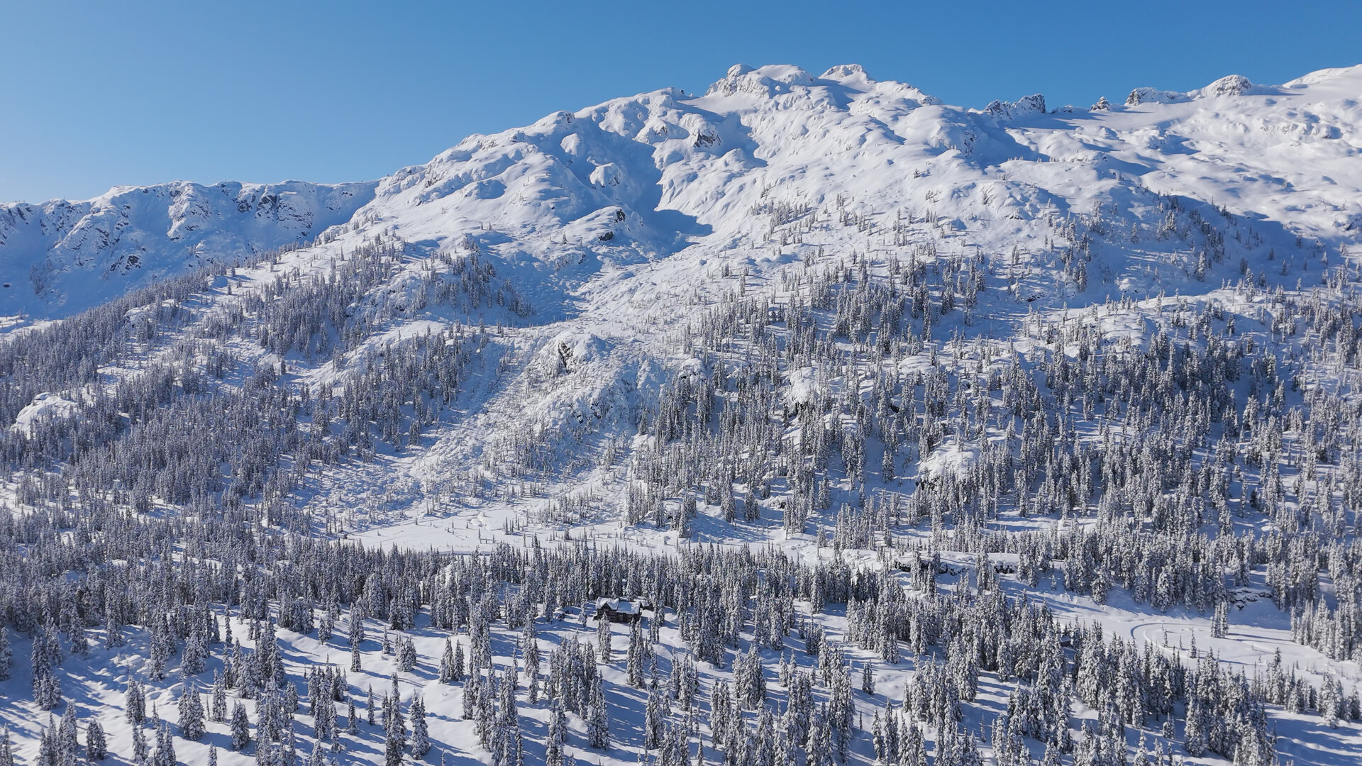 FAQ | Callaghan Country